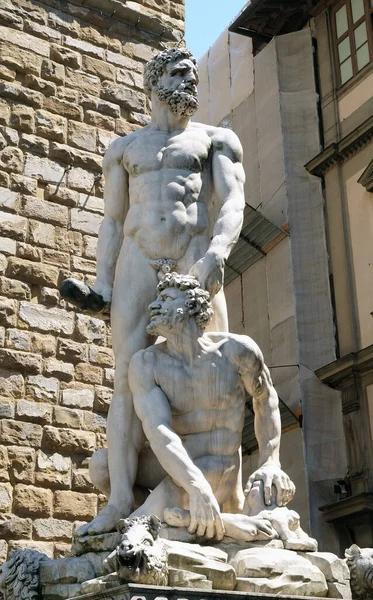 Statue Hercule Cacus Sur Piazza Della Signoria Florence Italie — Photo