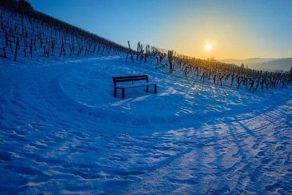 Freddo Inverno Neve Paesaggio Vigneto Con Panca Sole Nuovo Illuminato — Foto Stock