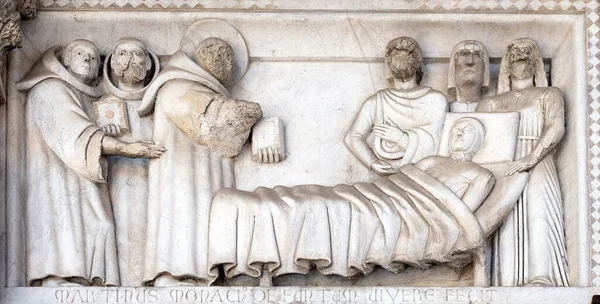 Dettaglio Del Bassorilievo Raffigurante Storie San Martino Conservate Nel Portico — Foto Stock