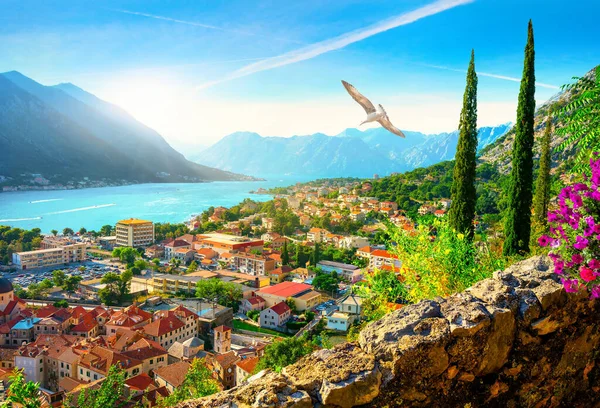 Uitzicht Het Eiland Kotor Montenegro — Stockfoto