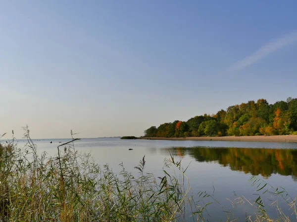 Mooie Herfst Landschap Blauwe Lucht Bonte Bos Weerspiegeld Water Rustige — Stockfoto