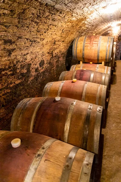 Cave Vin Avec Tonneaux Bois Hajos Transdanubie Sud Hongrie — Photo