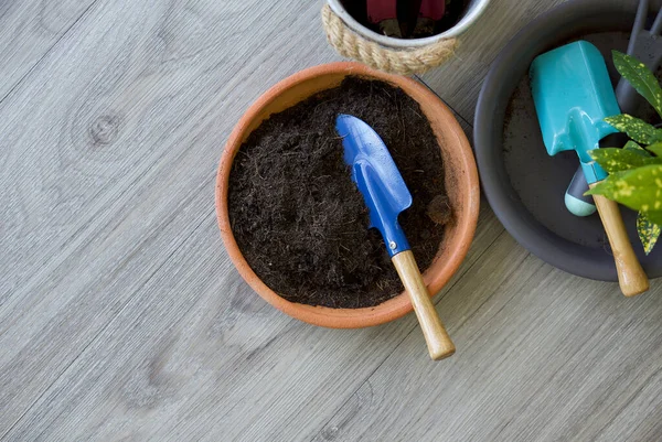 Pala Jardinería Azul Macetas Con Tierra Fertilizante Suelo Madera Vista — Foto de Stock