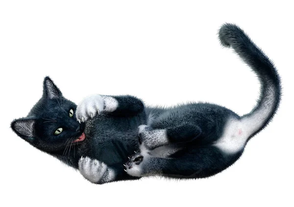 Vykreslení Černé Domácí Kočky Izolované Bílém Pozadí — Stock fotografie