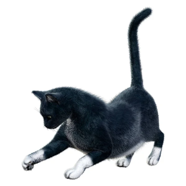 Vykreslení Černé Domácí Kočky Izolované Bílém Pozadí — Stock fotografie