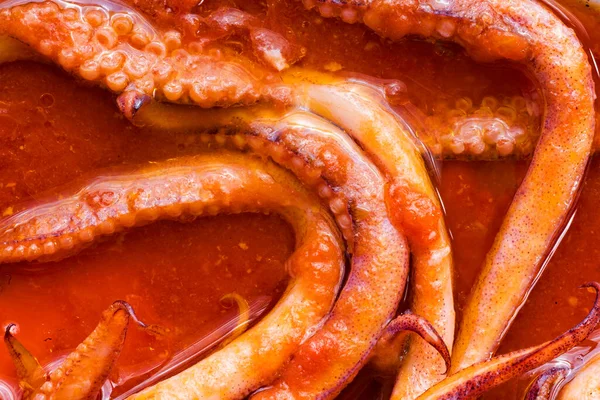 Close Van Rustieke Italiaanse Gevulde Calamari Tomatensaus — Stockfoto