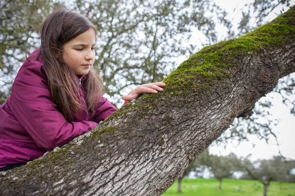 Niña Sintiendo Musgo Árbol Sobre Rama Niños Descubriendo Texturas Naturaleza — Foto de Stock