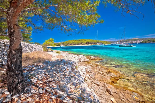 Adriatic Turquoise Beach Sailing Cove Pakleni Otoci Islands Hvar Archipelago — Stock Photo, Image