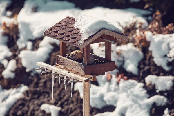在冬季森林里的雪地里喂鸟的小鸟 — 图库照片