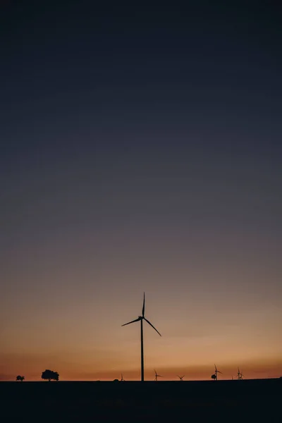 Windräder Sonnenuntergang — Stockfoto