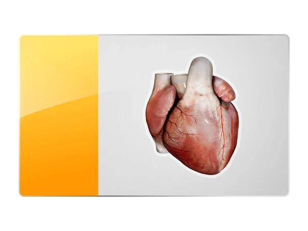 心形符号 网页设计的器官图标 3D和2D图形 — 图库照片