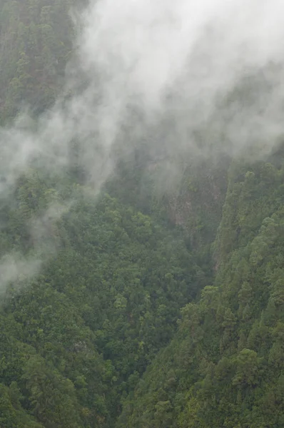 Barranco Laderas Parque Natural Las Nieves Palma Islas Canarias España — Foto de Stock