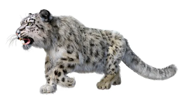 Rendering Big Cat Snow Leopard Isolated White Background — Stock Photo, Image