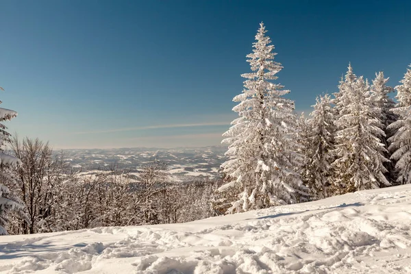 Ένα Τοπίο Καλυμμένο Χιόνι Τσεχία Pustevny Beskydy Υψηλής Ποιότητας Φωτογραφία — Φωτογραφία Αρχείου
