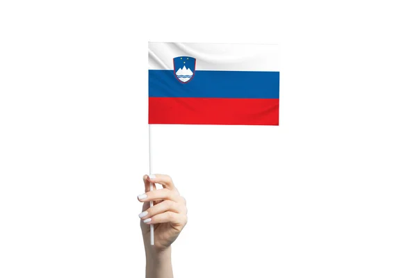 Красивая Женская Рука Флагом Словении Белом Фоне — стоковое фото