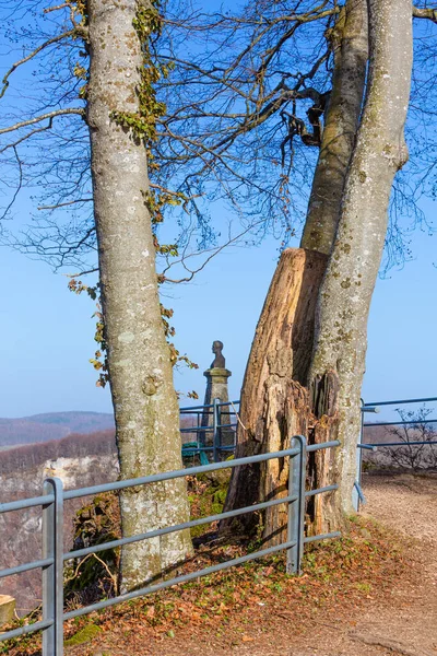 Una Vista Una Recinzione Legno Con Una Panchina Sullo Sfondo — Foto Stock