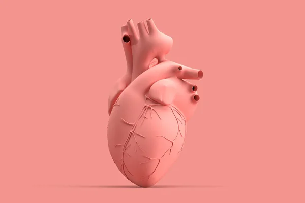 Ilustração Minimalista Coração Humano Sobre Fundo Rosa Ilustração — Fotografia de Stock