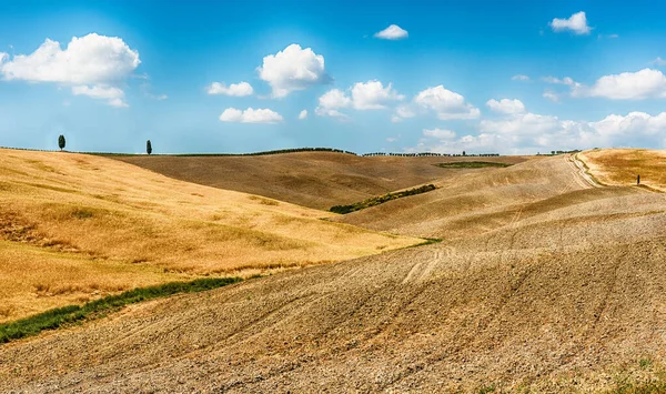 Paisagem Campos Secos Campo Toscana Itália Conceito Para Agricultura Terras — Fotografia de Stock