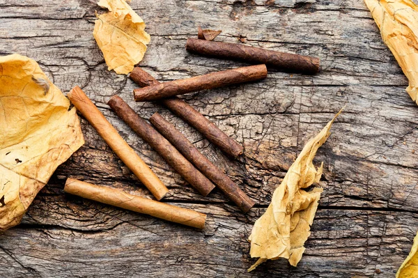 Cigarillos Dry Tobacco Leaf Tobacco Smoking Concept — Stock Photo, Image