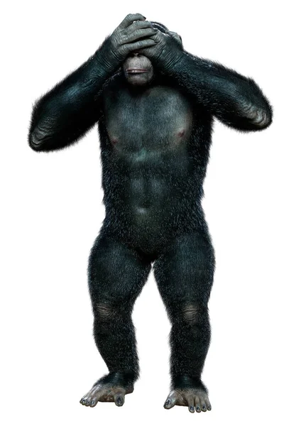 Beyaz Arkaplanda Siyah Goril — Stok fotoğraf