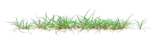 白い背景に隔離された草のパッチの3Dレンダリング — ストック写真
