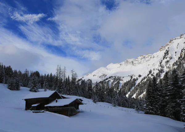 Cena Inverno Tuxberg Bernese Oberland — Fotografia de Stock