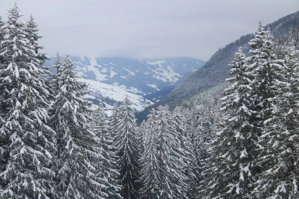 奥地利Saalbach Hinterglemm附近积雪覆盖的阿尔卑斯山景观 — 图库照片