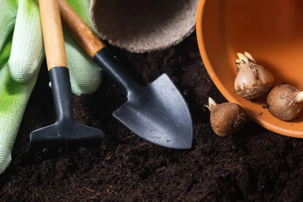 Printemps Arrière Plan Jardinage Outils Jardinage Pots Fleurs Bulbes Crocus — Photo