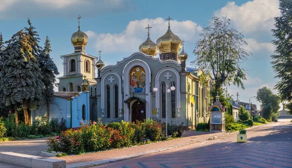 Cherkasy Ukraine 2020 在一个阳光灿烂的夏日早晨 乌克兰切尔基希的圣三一主教座堂 — 图库照片