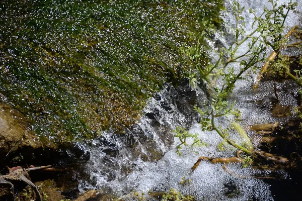 Cascade Dans Forêt — Photo