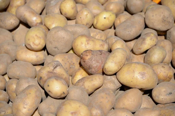 Картопля Ринку — стокове фото