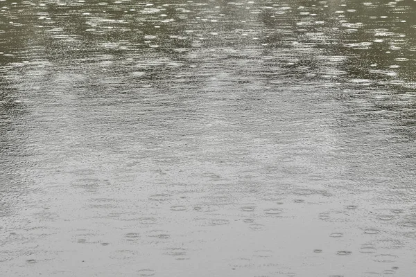 池の上には雨滴の円が見える — ストック写真