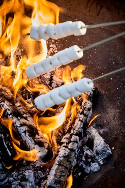 夏季户外野餐时 在一个便携式烧烤炉上 在炽热的火堆上烘烤着三根白色棉花糖金属串 — 图库照片
