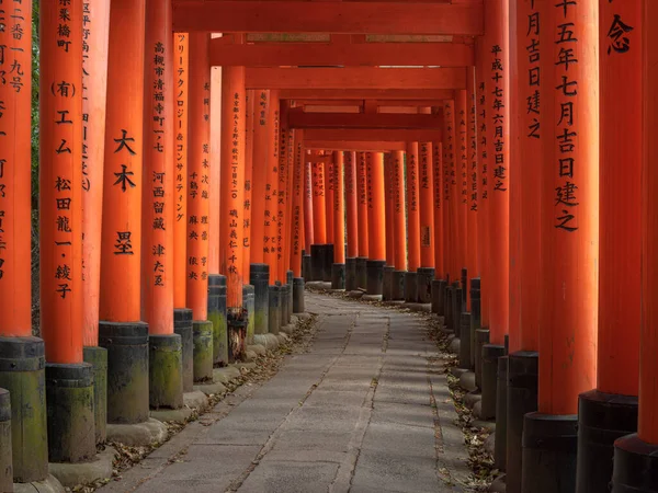 Slavné Červené Brány Fushimi Inari Taisha Svatyně 1000 Bran Kjóto — Stock fotografie