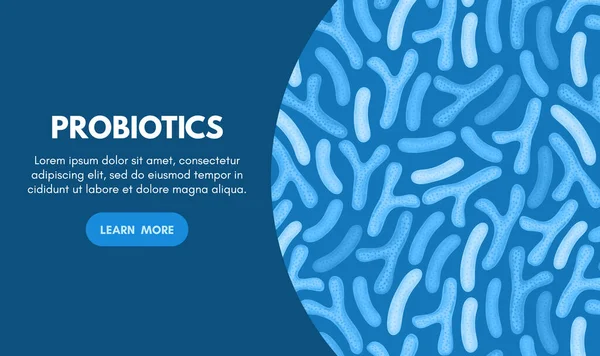 Pochodzenie Wektorowe Probiotyków Bifidobakterium Lactobacillus Bakterie Kwasu Mlekowego Mikrobiomu Medycyna — Zdjęcie stockowe