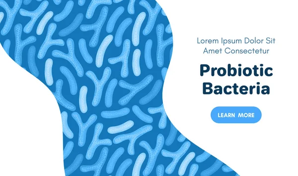 Fondo Vectorial Con Probióticos Bifidobacterias Lactobacilos Bacteria Del Ácido Láctico — Foto de Stock