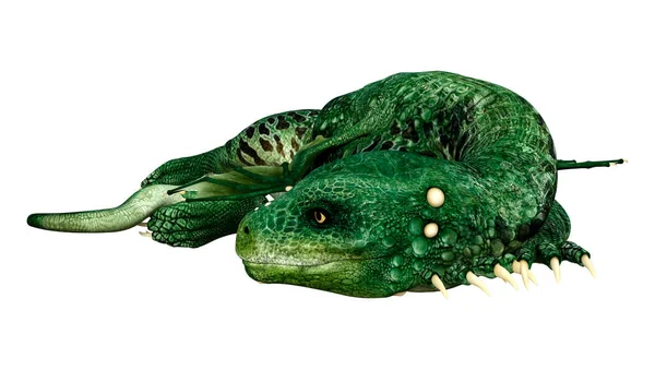 孤立在白色背景上的绿色鳄鱼 — 图库照片