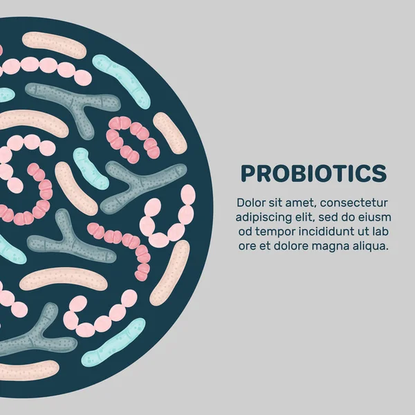 Sfondo Vettoriale Con Probiotici Forma Semicircolare Bifidobatterio Lattobacillo Streptococco Termofilo — Foto Stock