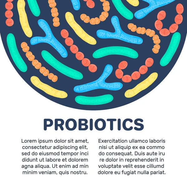 Tło Wektorowe Probiotykami Kształcie Półkolistym Bifidobakterium Lactobacillus Streptococcus Thermophilus Lactococcus — Zdjęcie stockowe