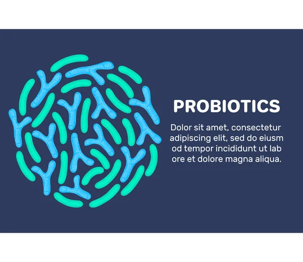 Fond Vectoriel Avec Probiotiques Forme Circulaire Bifidobacterium Lactobacille Bactérie Acide — Photo