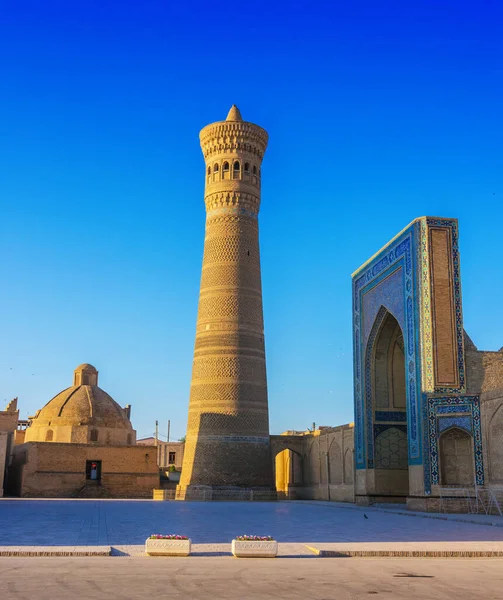 Kalan Veya Poi Kalan Özbekistan Buhara Kentindeki Kalan Minaresi Etrafında — Stok fotoğraf