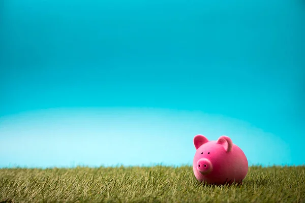 Spaarvarken Bank Met Een Groen Gras Een Blauwe Achtergrond — Stockfoto