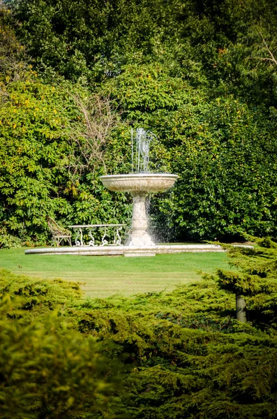 Prachtig Uitzicht Het Park Stad — Stockfoto