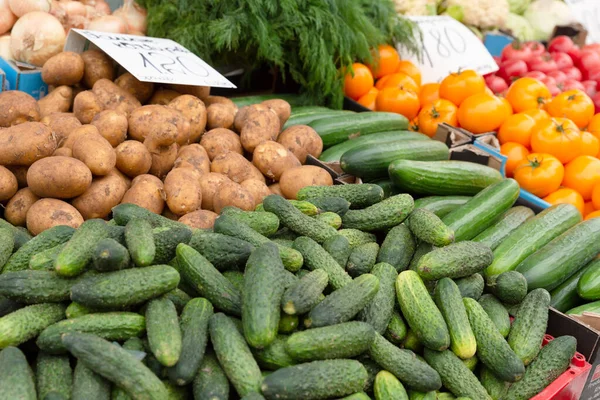 Świeże Produkty Ekologiczne Warzywne Rynku Rolników Mieście — Zdjęcie stockowe