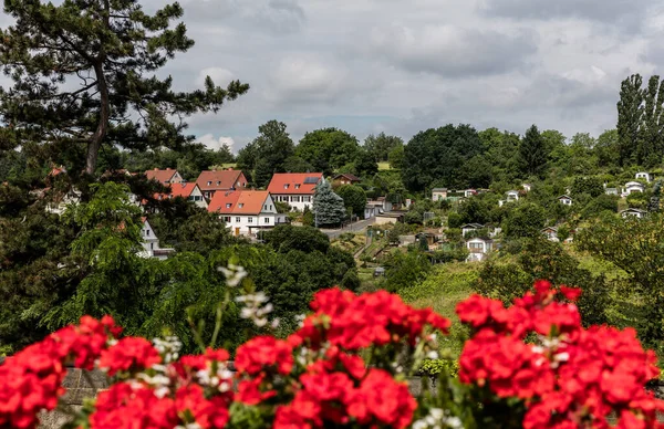 Cidade Meissen Vista Colina Castelo — Fotografia de Stock