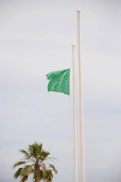 Zöld Zászló Szélben Alicante Tartományban Costa Blanca Spanyolország — Stock Fotó