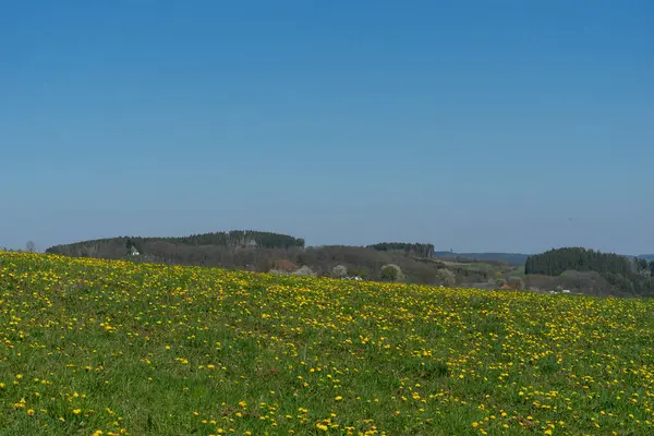 Landschaft Des Naturschutzgebietes Hallenberg Rothaargebirge — Stockfoto