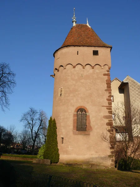Alsace Deki Obernai Şehir Kulesi — Stok fotoğraf