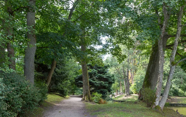 Palanga Botanical Park Lane Zomermiddag Palanga Litouwen Europa — Stockfoto