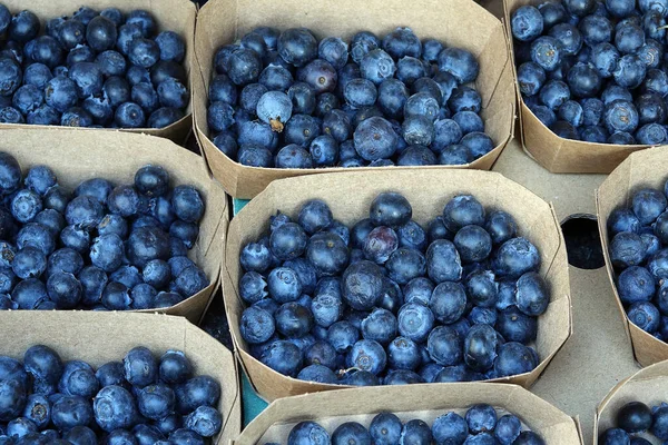 Fresh Blueberries Bowl Blue Background — Stock Photo, Image